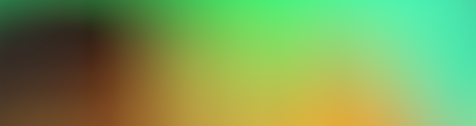 Les Koalas du Destin