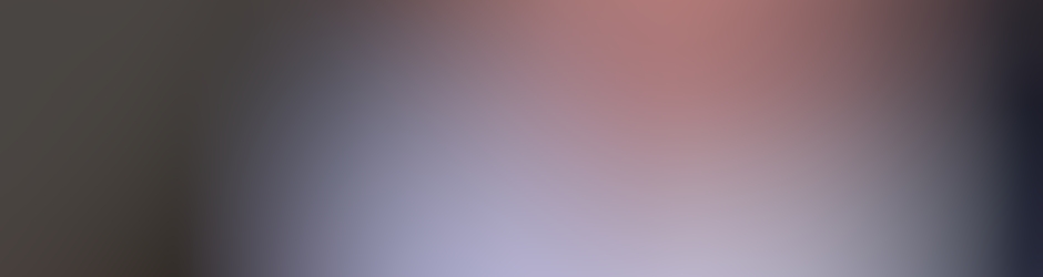 Stéphane GUERLESQUIN