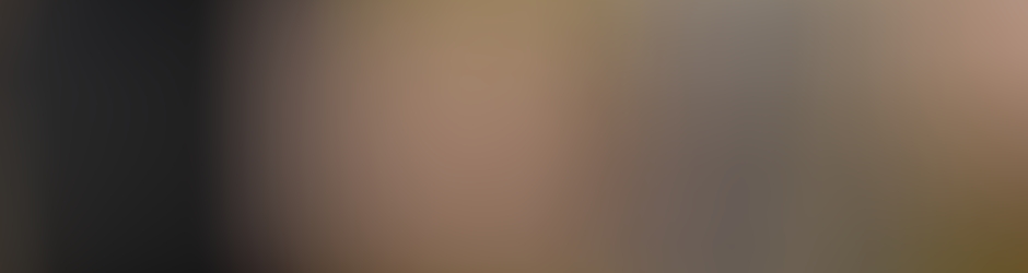 Jérôme Dhainaut accordéoniste