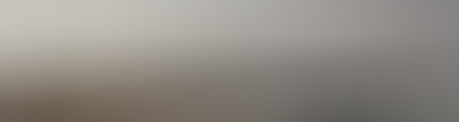 miguel Migou gautier