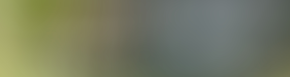 Valérie Valérie Cyr