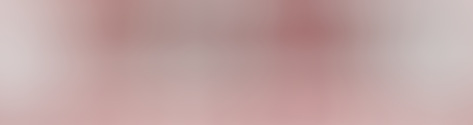 rafael  salcedo ramirez