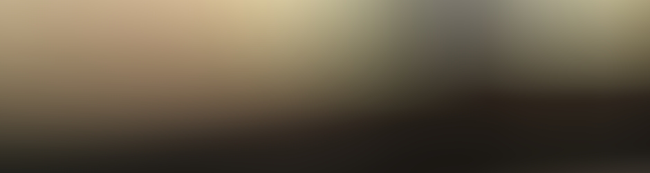 Fabrice Souquet Besson