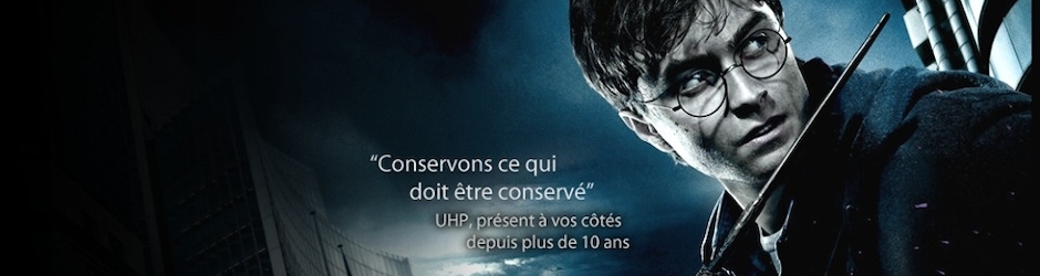 Harry Potter (UniversHarryPotter.com)