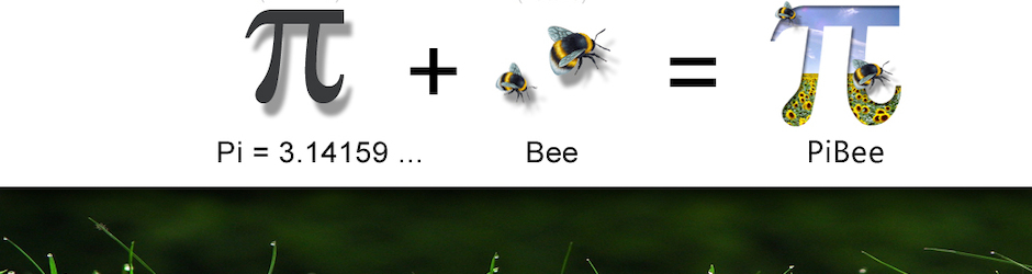 PiBee