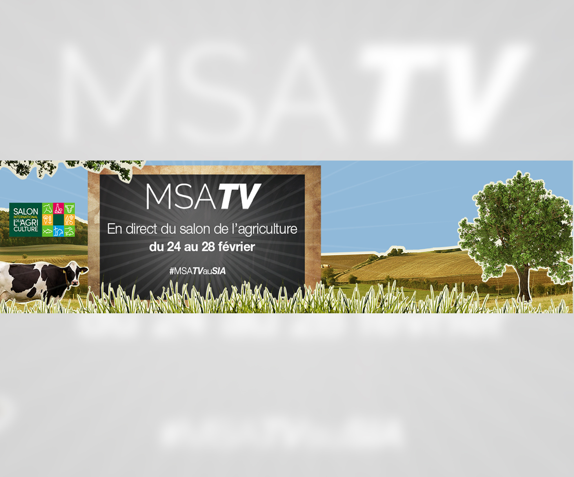 MSA TV