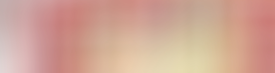 VCB+ Vendée Challans Basket