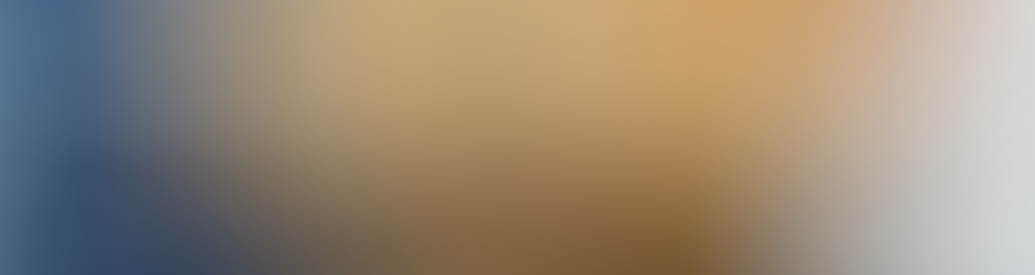 Patronet Patronet  Du Net