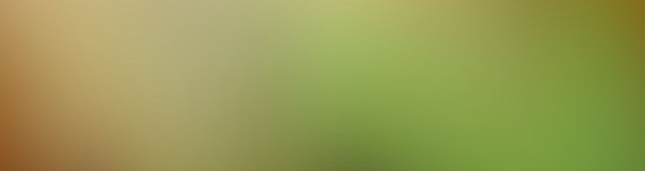 L'igouane (Volontaire)