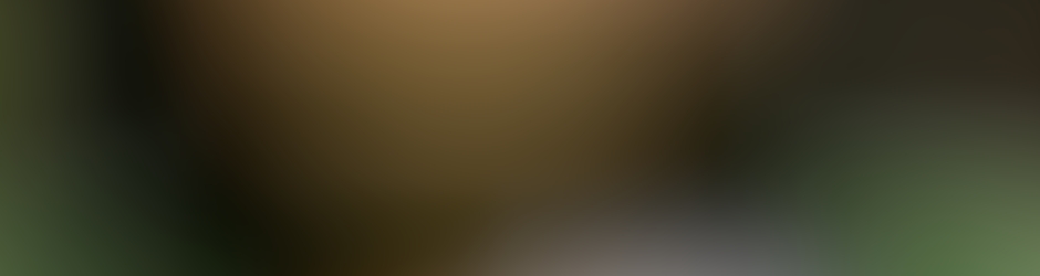 Abou Rasta President