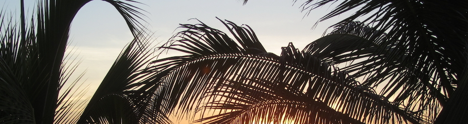 Charles Charles IZARD