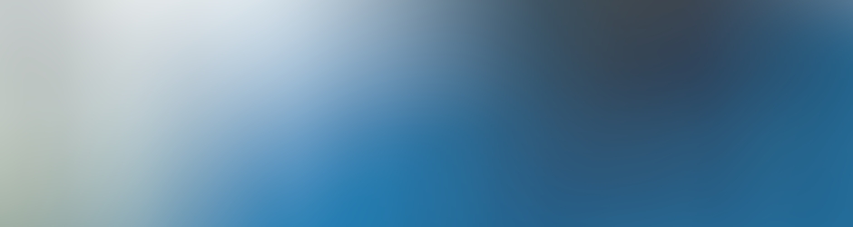 LÔ ARSCHE JOINVILLE Laurent