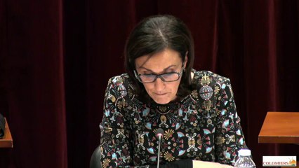 Conseil municipal de la ville de Colomiers 11 Février 2016