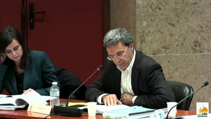 Conseil municipal de la ville de Colomiers 31 mars 2016