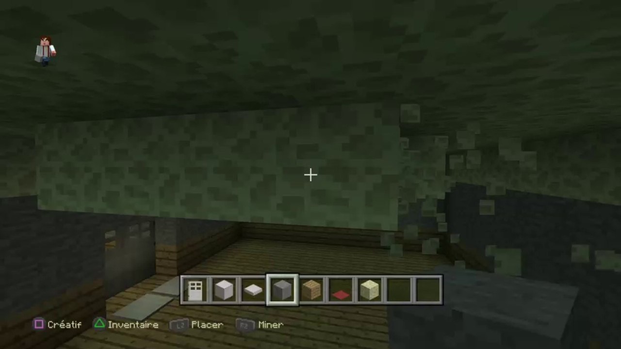 Minecraft PS4 FreezFire69