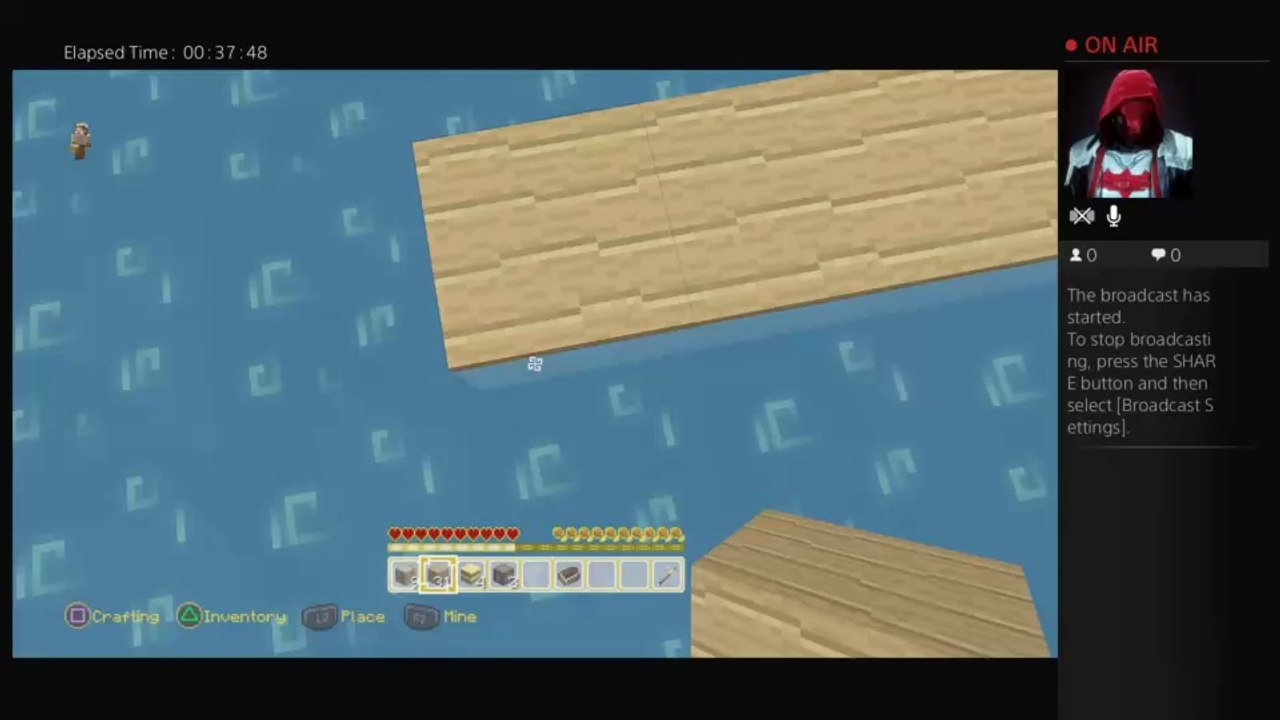 Minecraft madness