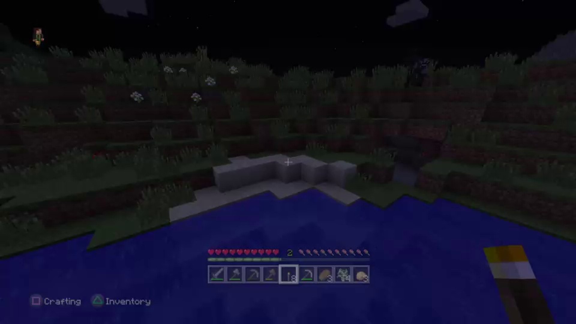 Minecraft | PS4 | Survival | [1]