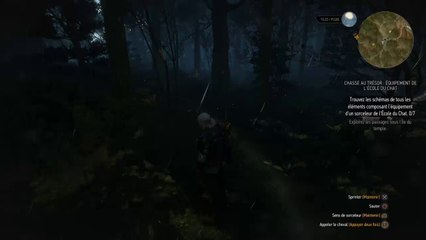 The Witcher 3: Wild Hunt