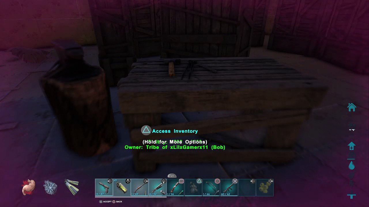 Ark