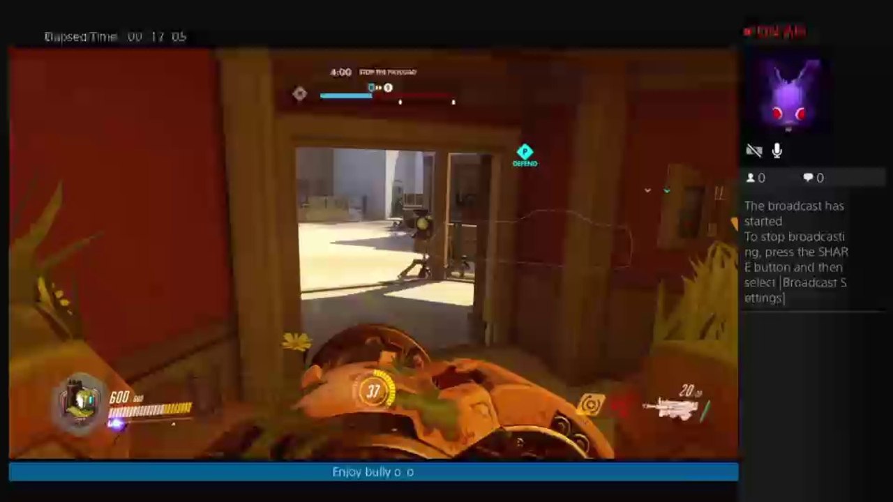 Overwatch