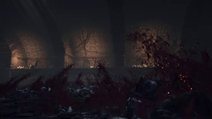 Diffusion  en direct dark souls 3 pyro , foudre ng+7