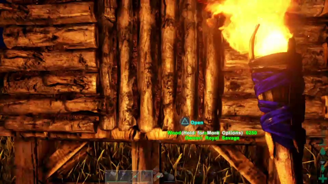 Ark