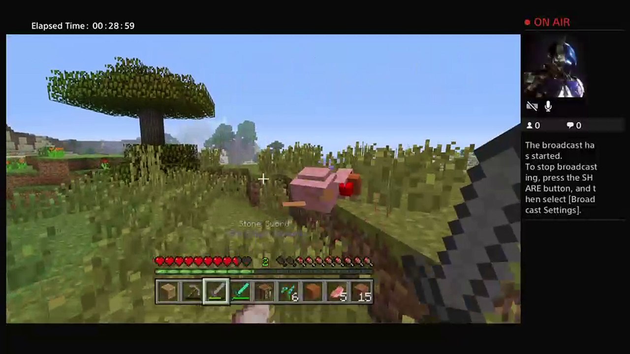 Minecraft