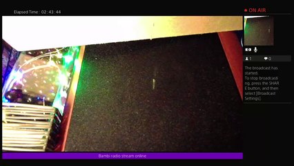 Bambi radio stream online