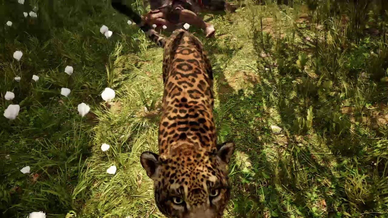 Primal