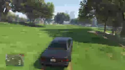 Gta delire