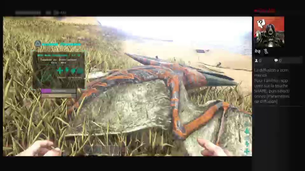 Ark