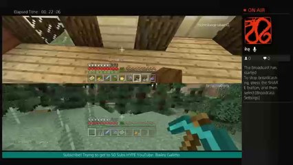 Minecraft With Bri: Curing A Zombie Villager