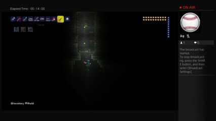 Terraria fighting boss