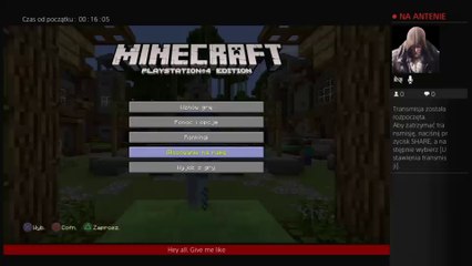 Minecraft mini games
