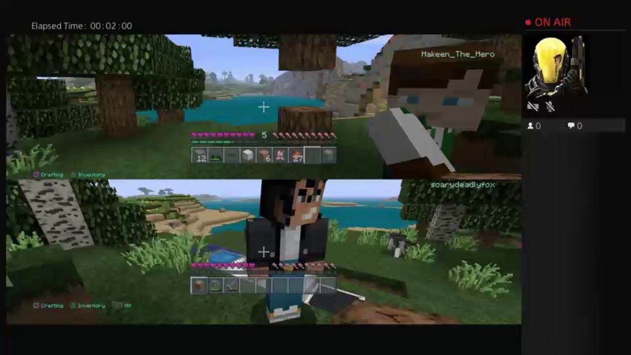 Sky gamer