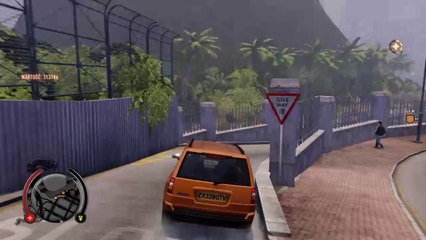 Sleeping dogs police
