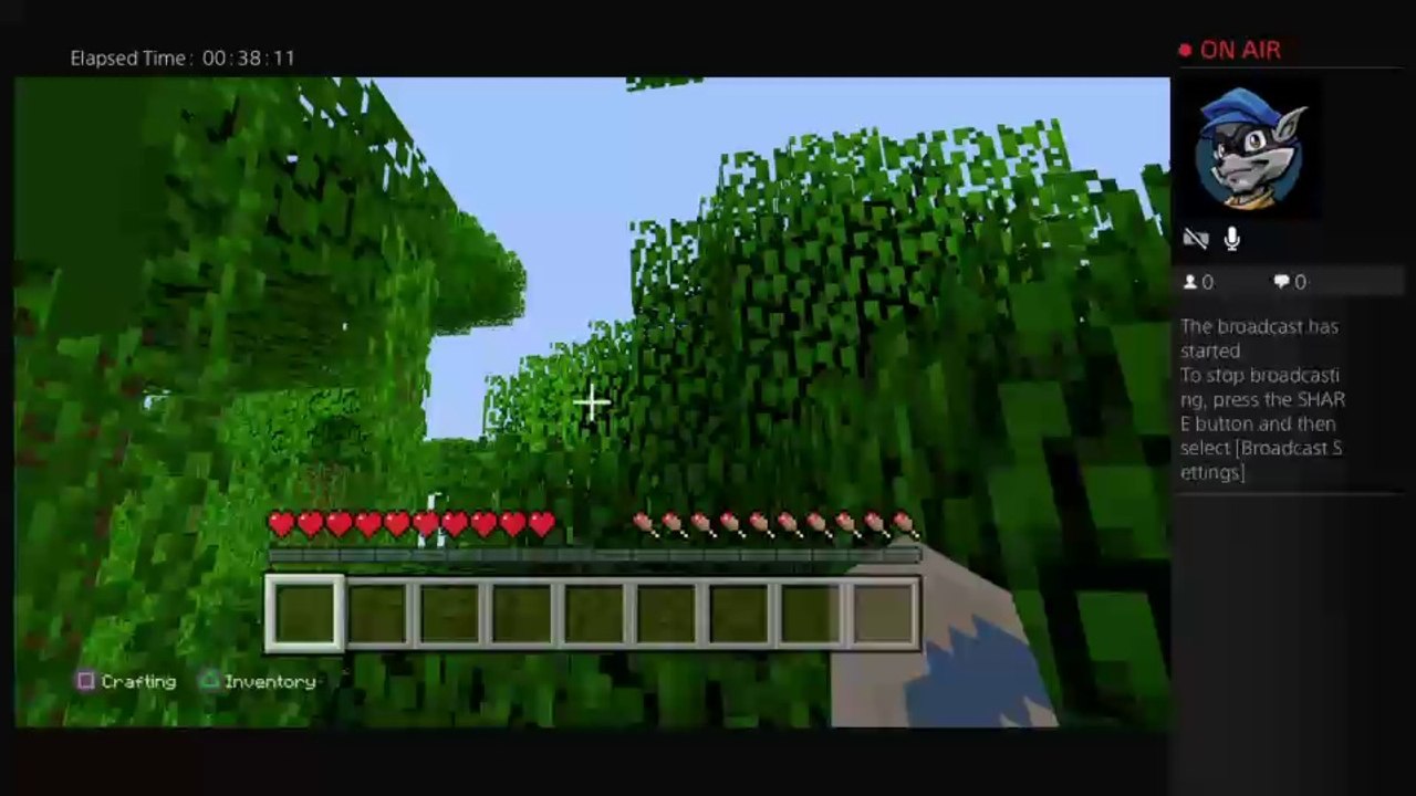rayjayzelena's Live PS4 Broadcast