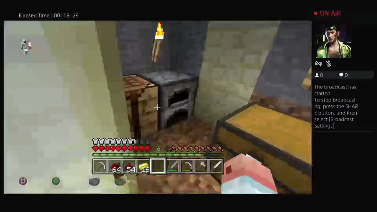 Minecraft