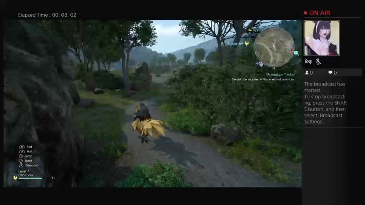 renetiger's Live PS4 Broadcast