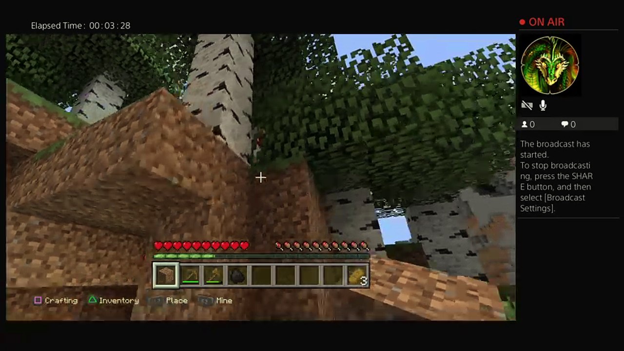 Quest to kill the enderdragon