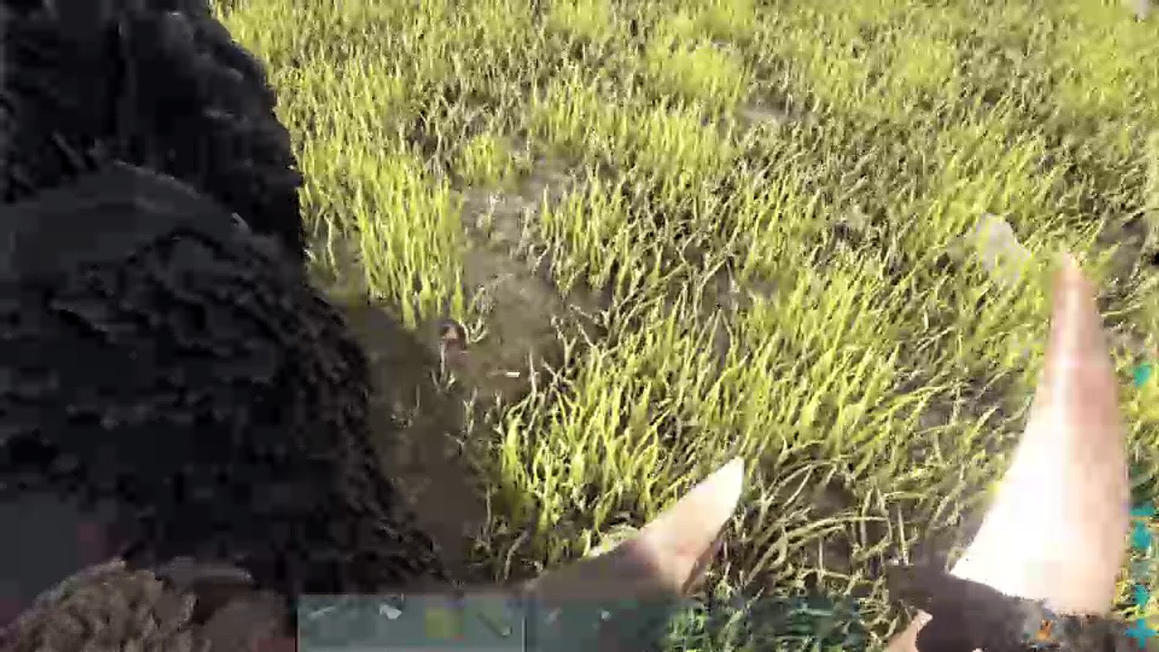 Ps4-live-Übertragung von hackentreter