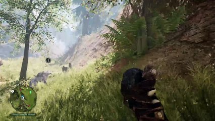 Far Cry primal