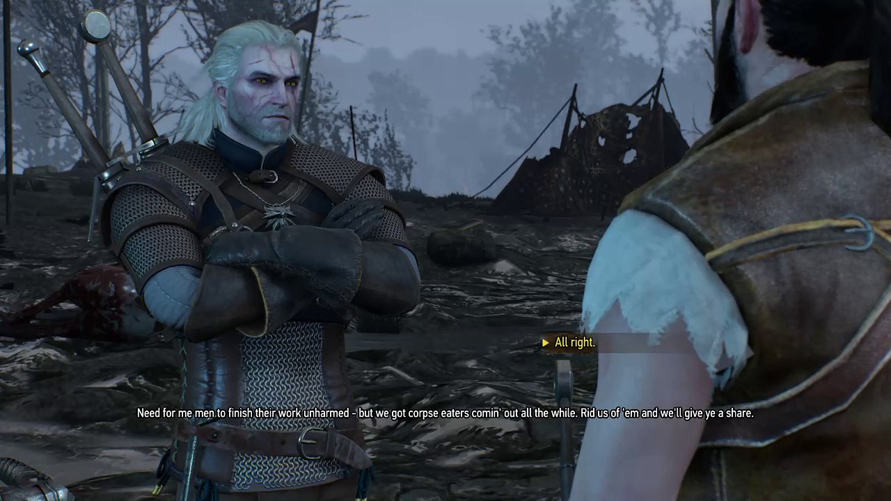 Witcher 3 Wild Hunt