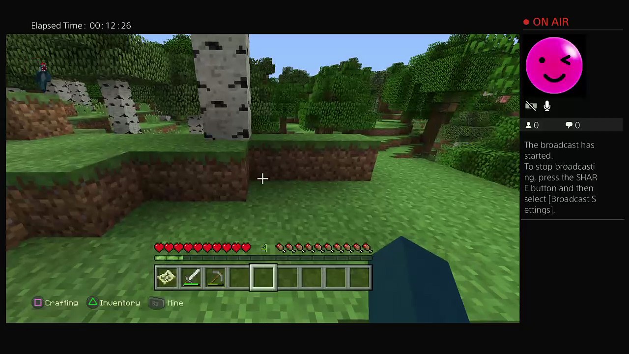 Minecraft episode 2 night 2