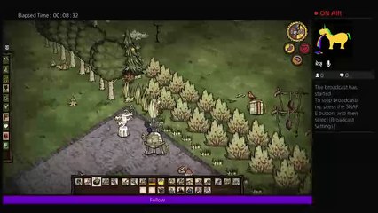 ACUTEKITTEN05 Minigames