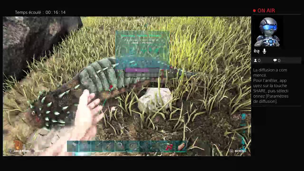 Fortnite battle royale