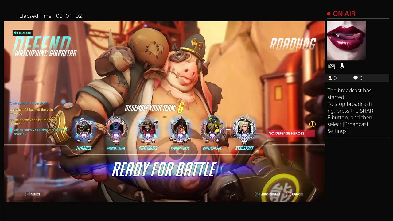 Overwhatch comp