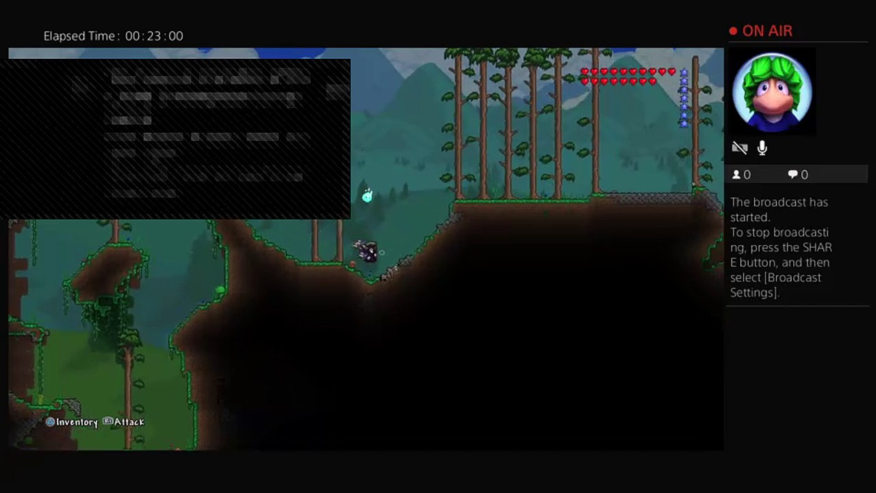 Lets play Terraria