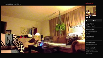 Whats really going on