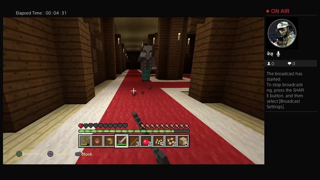 Minecraft and freinds